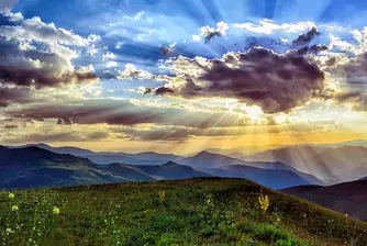 Неизвестен на науката бозайник откриха български учени в Странджа