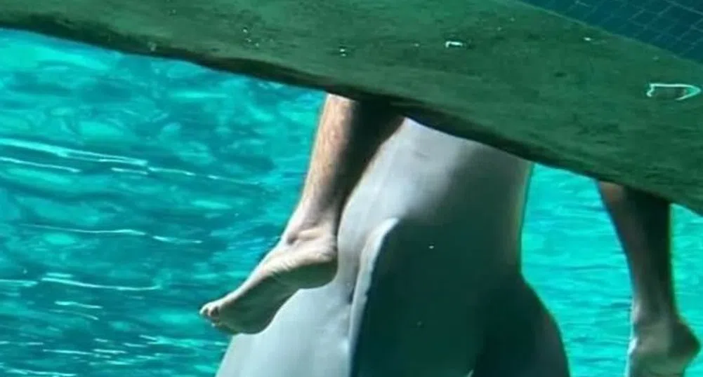 Най-лошите снимки на дива природа, правени някога