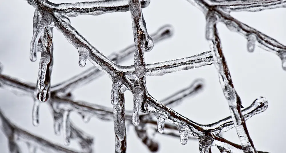 Идва студ, който светът не помни