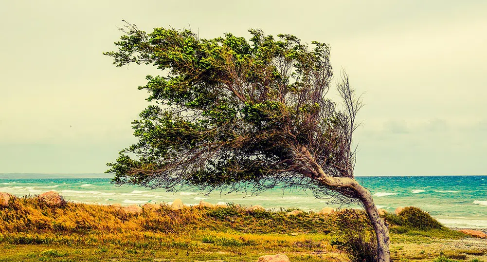 Най-унищожителният пожар в историята на Кипър е поставен под пълен контрол