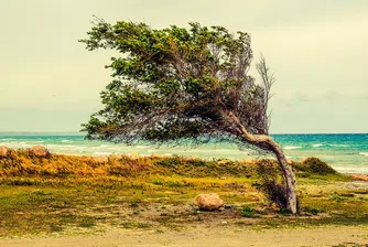 Най-унищожителният пожар в историята на Кипър е поставен под пълен контрол