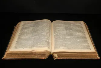 Шест нелепо глупави световни рекорда