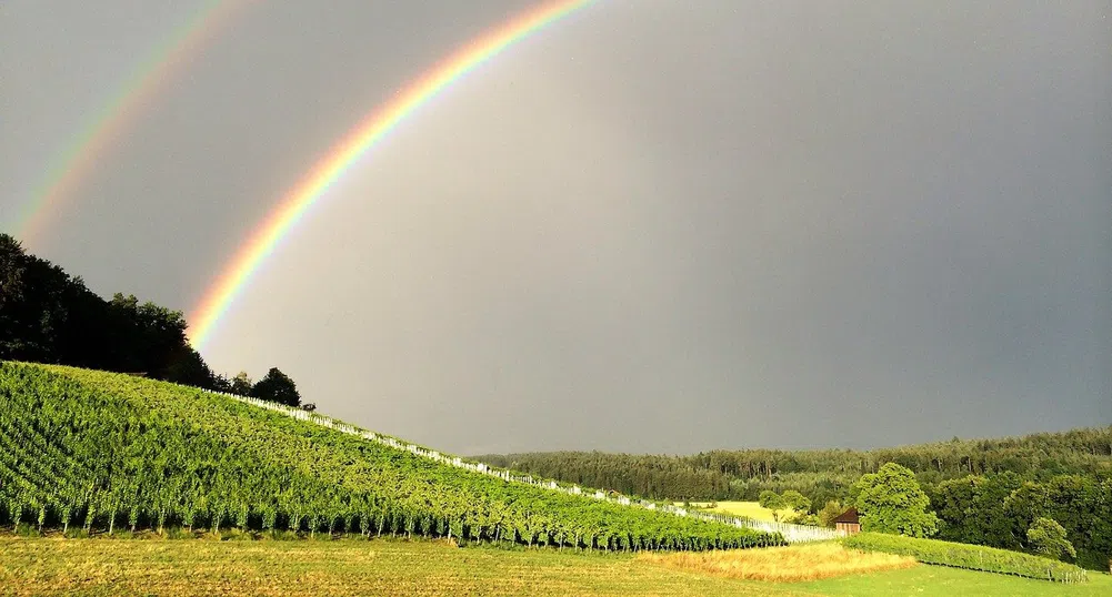 Какво време ни очаква в следващите дни