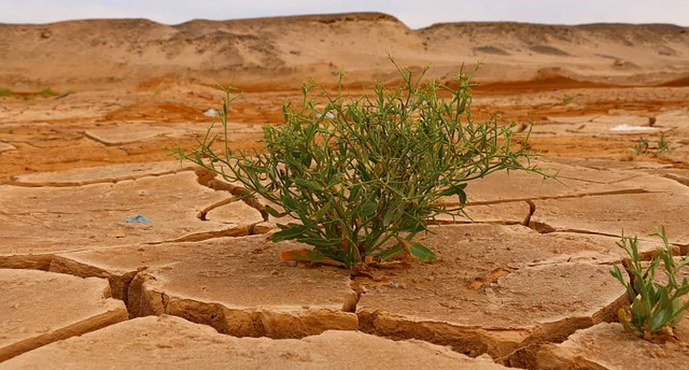 Изменението на климата удря кредитните рейтинги на водещите икономики