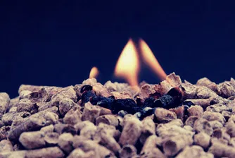 Устойчиво или фалшиво решение за климата – пътят на дървесните пелети