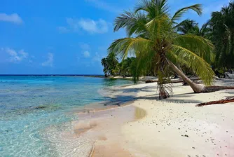 Панама ви подарява пътуване, но трябва да разберете какъв пътешественик сте