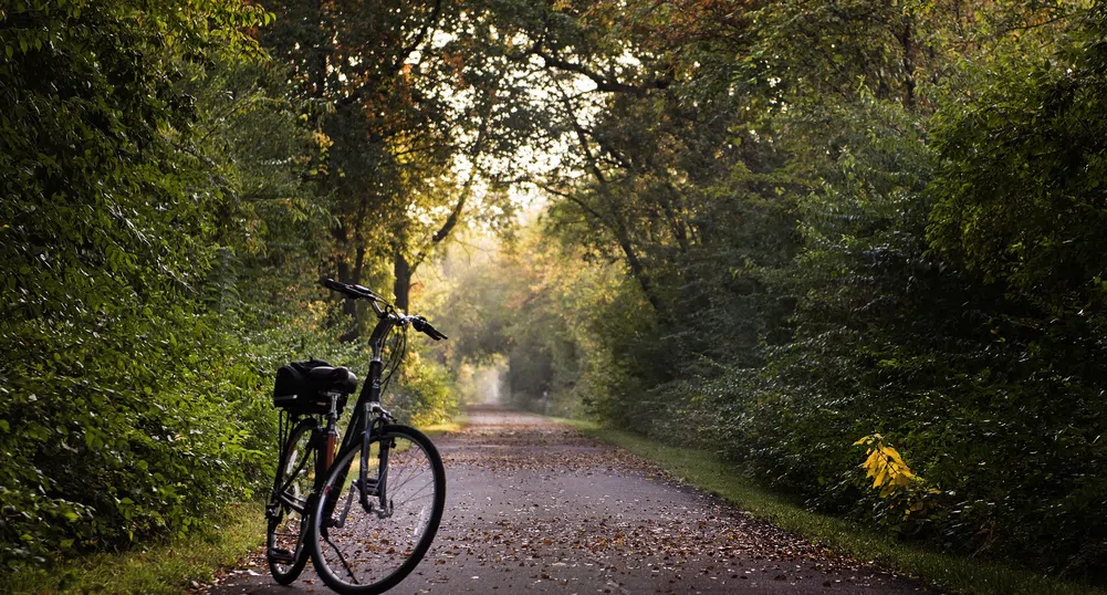 България е в Топ 5 на производителите на велосипеди в ЕС