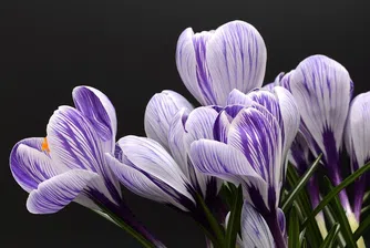 Изминалата пролет - най-студената в Европа от 2013 г.