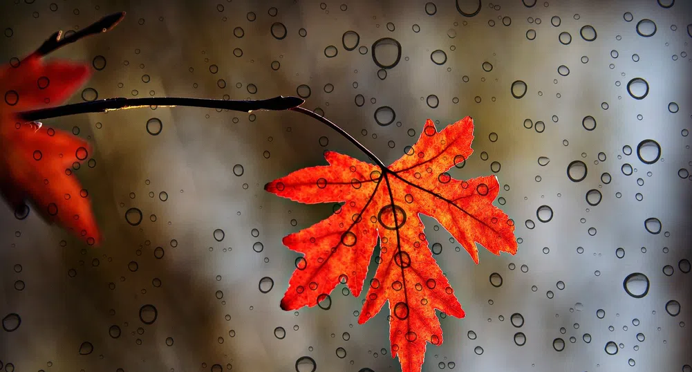 Захлаждане и валежи се очакват през следващата седмица