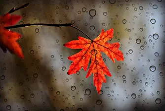 Захлаждане и валежи се очакват през следващата седмица