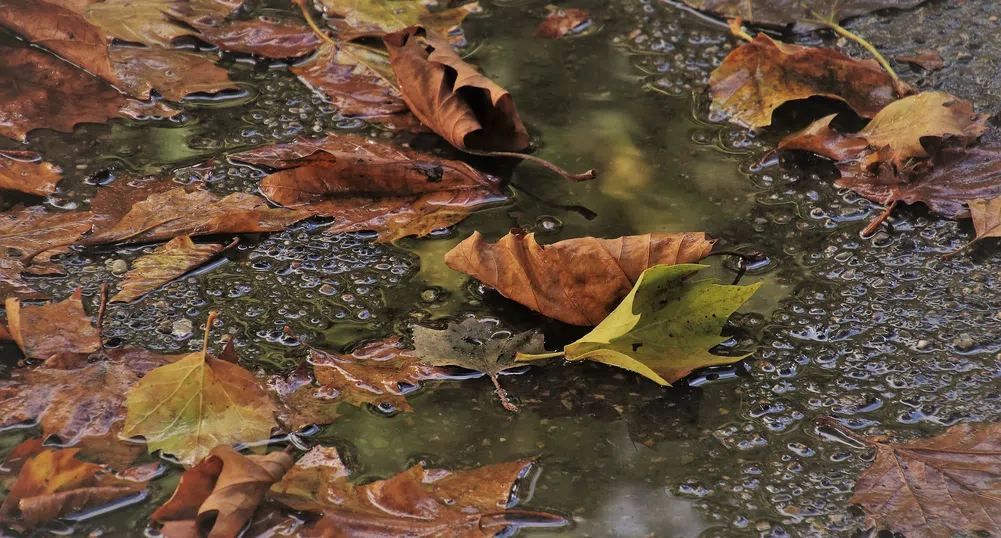 Очаква ни студена и дъждовна седмица