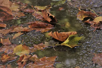 Очаква ни студена и дъждовна седмица