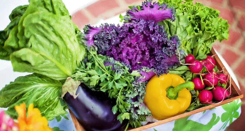 Производствените цени скачат с 10.4% през второто тримесечие