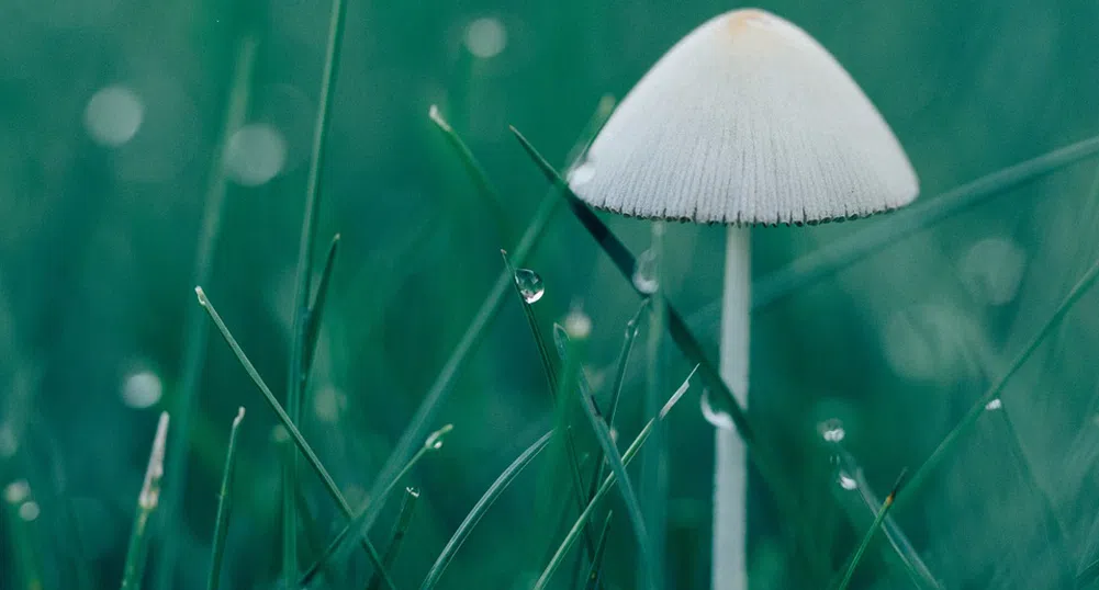 Опасно време днес, в сила е оранжев код за порои