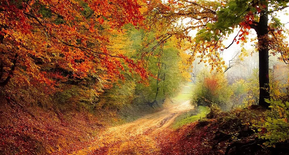 Между 28 и минус 3 градуса през октомври