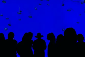 Може ли Изкуственият интелект да избира по-добри лидери от нас?