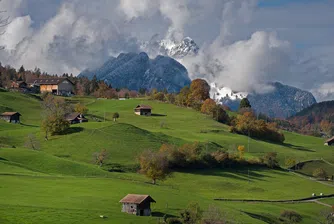 Изборите в Нова Зеландия приключиха