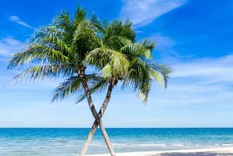 Що е то workation?