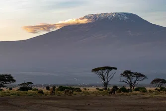 Вижте едно от седемте природни чудеса на Афика на живо (видео)