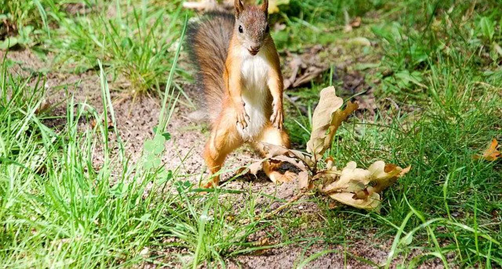 Изпращаме септември със слънце и 30° на места