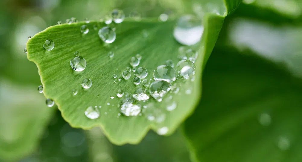 Жълт дъжд и градушки на Велика събота