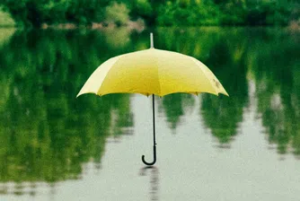 Иновации vs. традиции – успяват ли технологиите да променят застраховането?