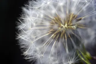 Какво е токсична позитивност и как ви вреди?