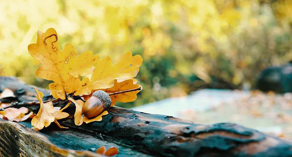 Започва седмица без валежи
