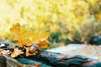 Започва седмица без валежи