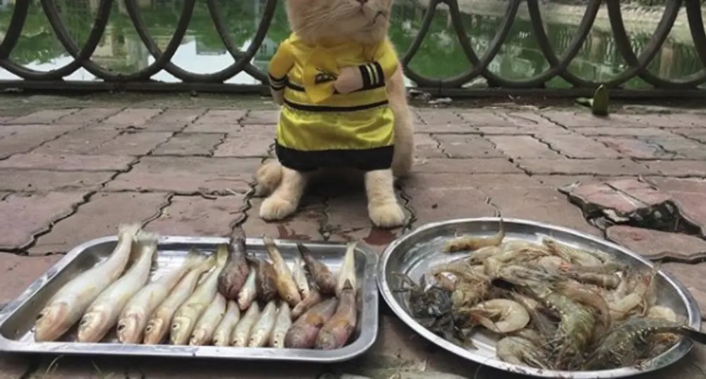 Този търговец може да ви продаде и пясък в пустинята