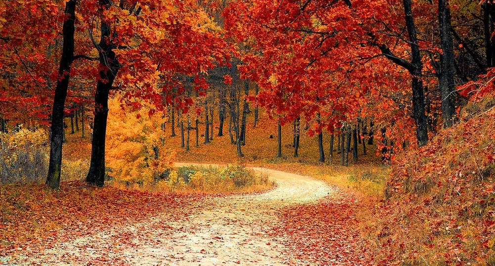 От минус 5 до 24 градуса през ноември