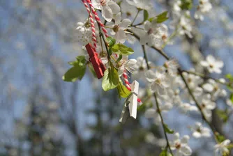 Ето правилата за разходка в софийските паркове