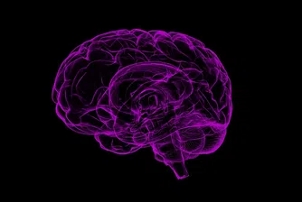 Витамините, които запазват мозъка ни млад и здрав