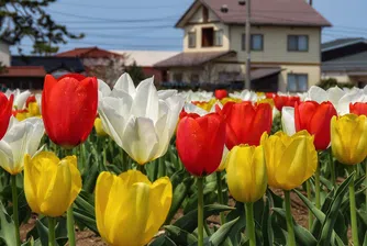 Бум на цените на имотите у нас, ето и официалните данни