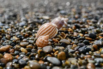 До 3000 евро глоба за турист, опитал да изнесе 41 кг камъчета от Сардиния