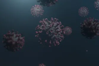 Откриха нова мутация на COVID-19 у нас, характерна за бразилския вариант