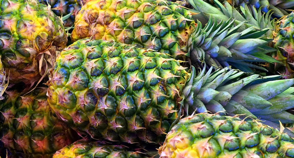 Фабрика за ананаси ще работи с енергия, добивана от.. ананаси