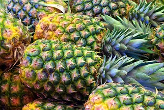 Фабрика за ананаси ще работи с енергия, добивана от.. ананаси