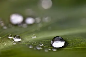 Водата се оказа смес от две течности