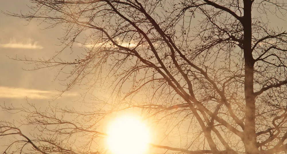 Времето днес: Слънчево с температури до 11 градуса