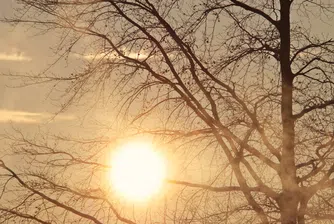 Времето днес: Слънчево с температури до 11 градуса