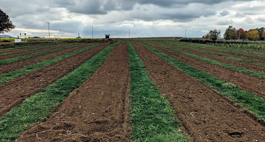 Адванс Терафонд продаде земи за 60.9 млн. лева през 2021 г.