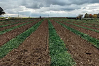 Адванс Терафонд продаде земи за 60.9 млн. лева през 2021 г.