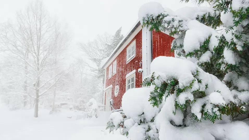 Елате в Швеция, за да се наспите. Как зимата и дългите нощи привличат туристи