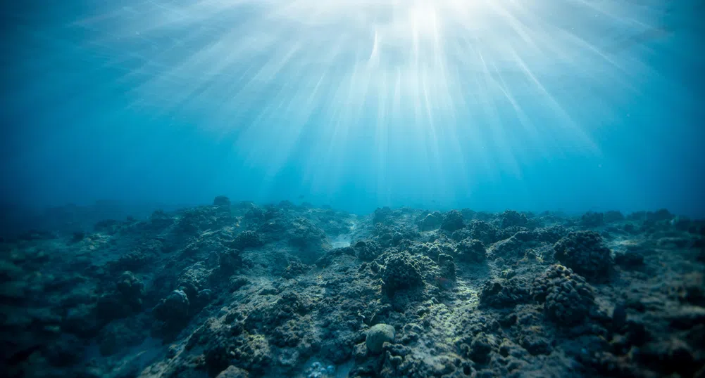 САЩ форсират започването на спорния дълбоководен добив на полезни изкопаеми