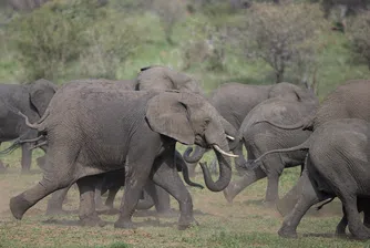Рискът, свързан с природата, е финансов риск