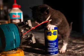Тайната на WD-40: Формула, пазена по-строго от държавен златен резерв