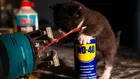 Тайната на WD-40: Формула, пазена по-строго от държавен златен резерв