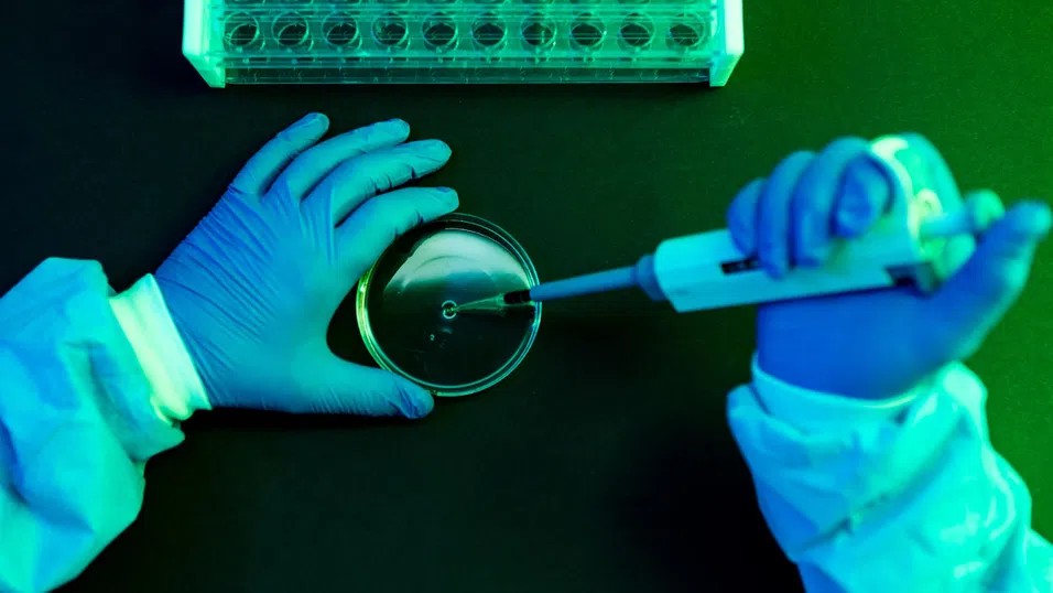 Тихата революция във фармацията: Как AI спестява милиарди, без да създава нови лекарства?