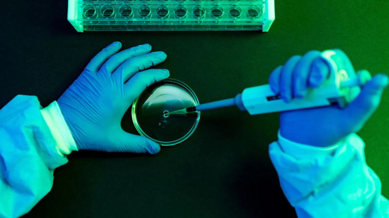 Изкуственият интелект AI все още не е направил големия пробив